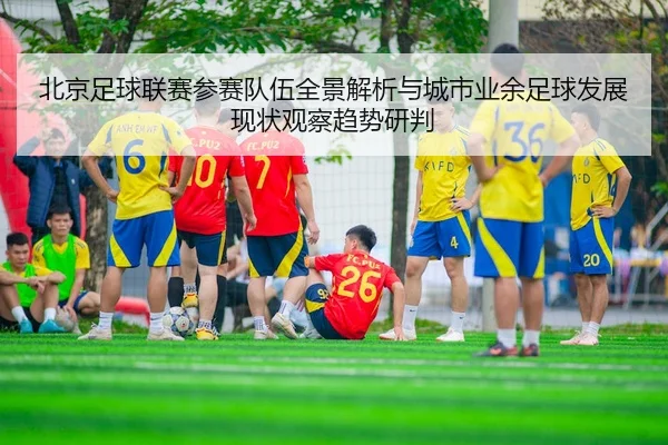 北京足球联赛参赛队伍全景解析与城市业余足球发展现状观察趋势研判